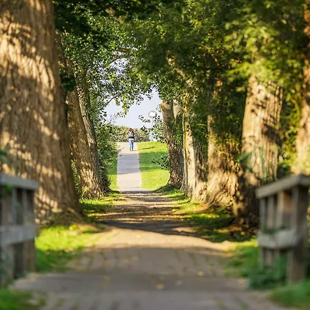 Kleine Strandoase - Mit Suedbalkon, Wellness & Boddenblick Apartment *