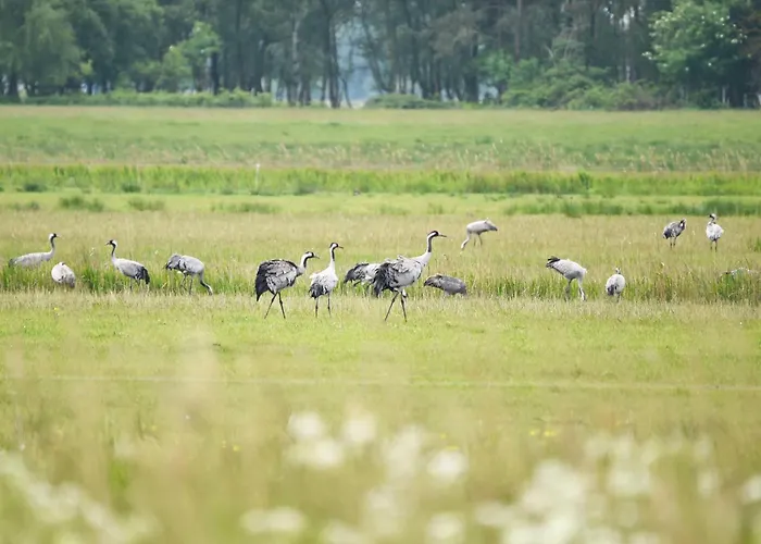 Kleine Strandoase - Mit Suedbalkon, Wellness & Boddenblick Апартаменты *