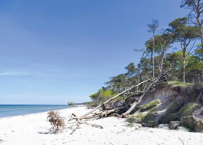 Kleine Strandoase - Mit Suedbalkon, Wellness & Boddenblick * Вустров